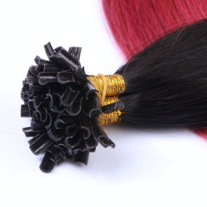 25 x Keratin Bonding Hair Extensions - 1b/Burg Ombre - 100% Echthaar - NOVON EXTENTIONS