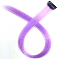 #19 - One Clip Extention - Kanekalon synthetisches Haar Clips in Hair Extensions