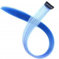 #21 - One Clip Extention - Kanekalon synthetisches Haar Clips in Hair Extensions