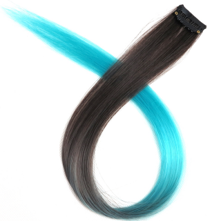#25 - One Clip Extention - Kanekalon synthetisches Haar Clips in Hair Extensions