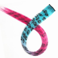 #37 - One Clip Extention - Kanekalon synthetisches Haar Clips in Hair Extensions