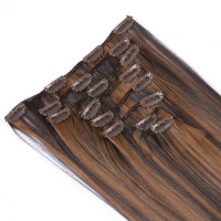 #4/20 Gesträhnt - Clip-In Hair Extensions / 8 Tressen / Haarverlängerung XXL Komplettset