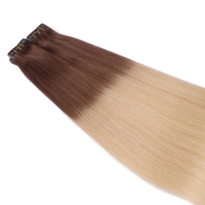 10 x Tape In - 17/20 Ombre - Hair Extensions - 2,5g - NOVON EXTENTIONS