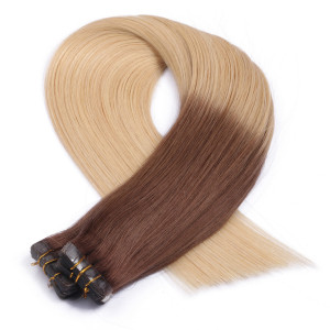 10 x Tape In - 17/20 Ombre - Hair Extensions - 2,5g - NOVON EXTENTIONS