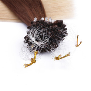 25 x Micro Ring / Loop - 4/60 Ombre - Hair Extensions 100% Echthaar - NOVON EXTENTIONS 60 cm - 1 g