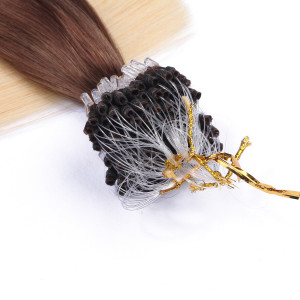 25 x Micro Ring / Loop - 17/20 Ombre - Hair Extensions 100% Echthaar - NOVON EXTENTIONS 50 cm - 1 g