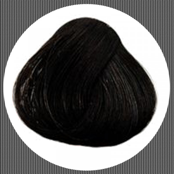 La Riche Directions ebony 89ml Haartönung