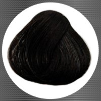 La Riche Directions ebony 89ml Haartönung
