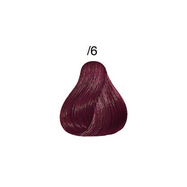 /6 violett